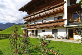 Apartment in Hippach im Zillertal with a garden